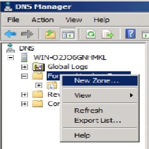 آموزش نصب و پیکربندی IIS و DNS در winserver2008